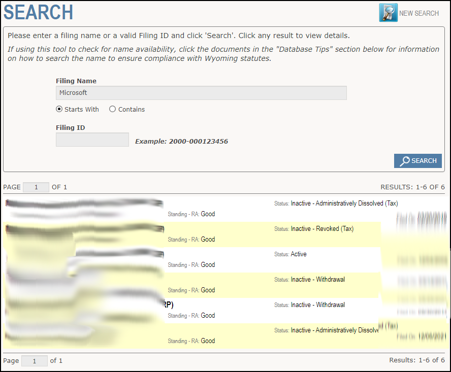 Secretary of State Business Search Results